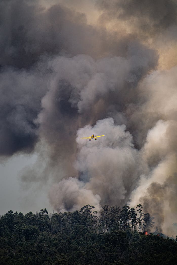 gallery-03 Dramatic scene of a plane battling a forest fire in Sever do Vouga, Portugal.