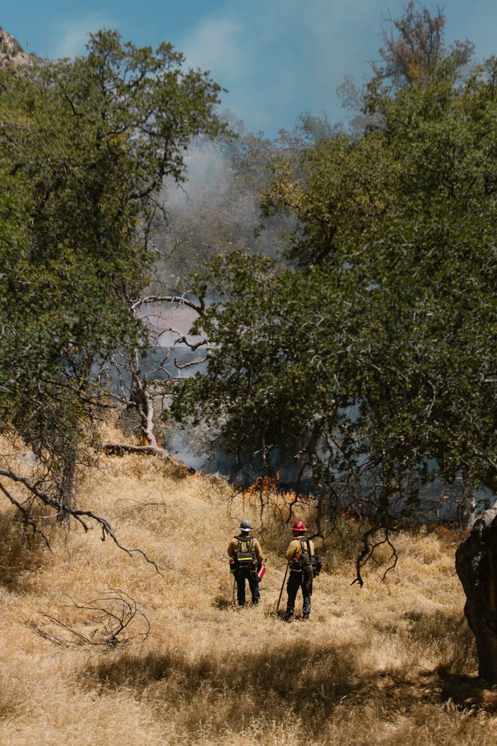 Firefighters confront a spreading forest fire, capturing the urgency and intensity of wildfire management.