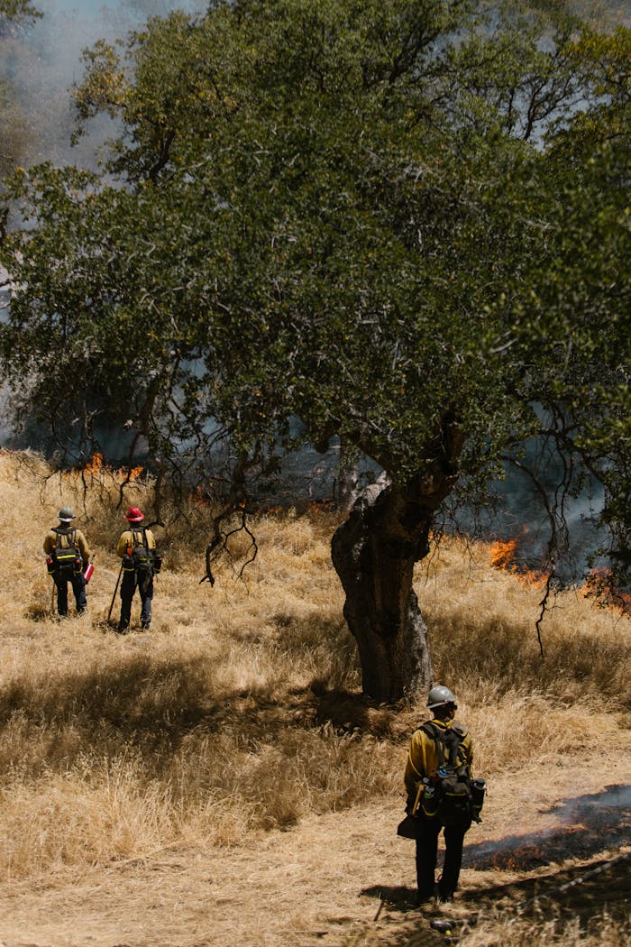 Three firefighters managing a forest fire in a dry, grassy landscape with thick smoke.
